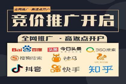 竞价托管服务对比：不同平台的优劣分析